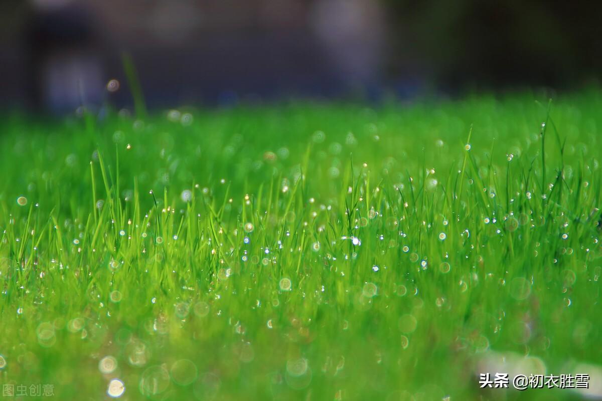 春草相思七首诗词（相思若春草，无路不萋萋）