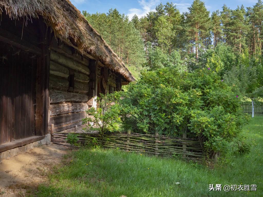 孟夏四首优美古诗（孟夏草木长，绕屋树扶疏）