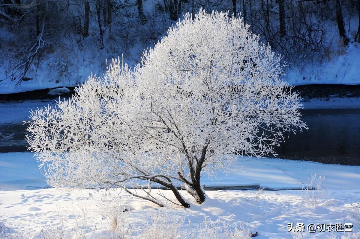 腊月年光如激浪，要取楸花媚远天（腊月诗词五首）