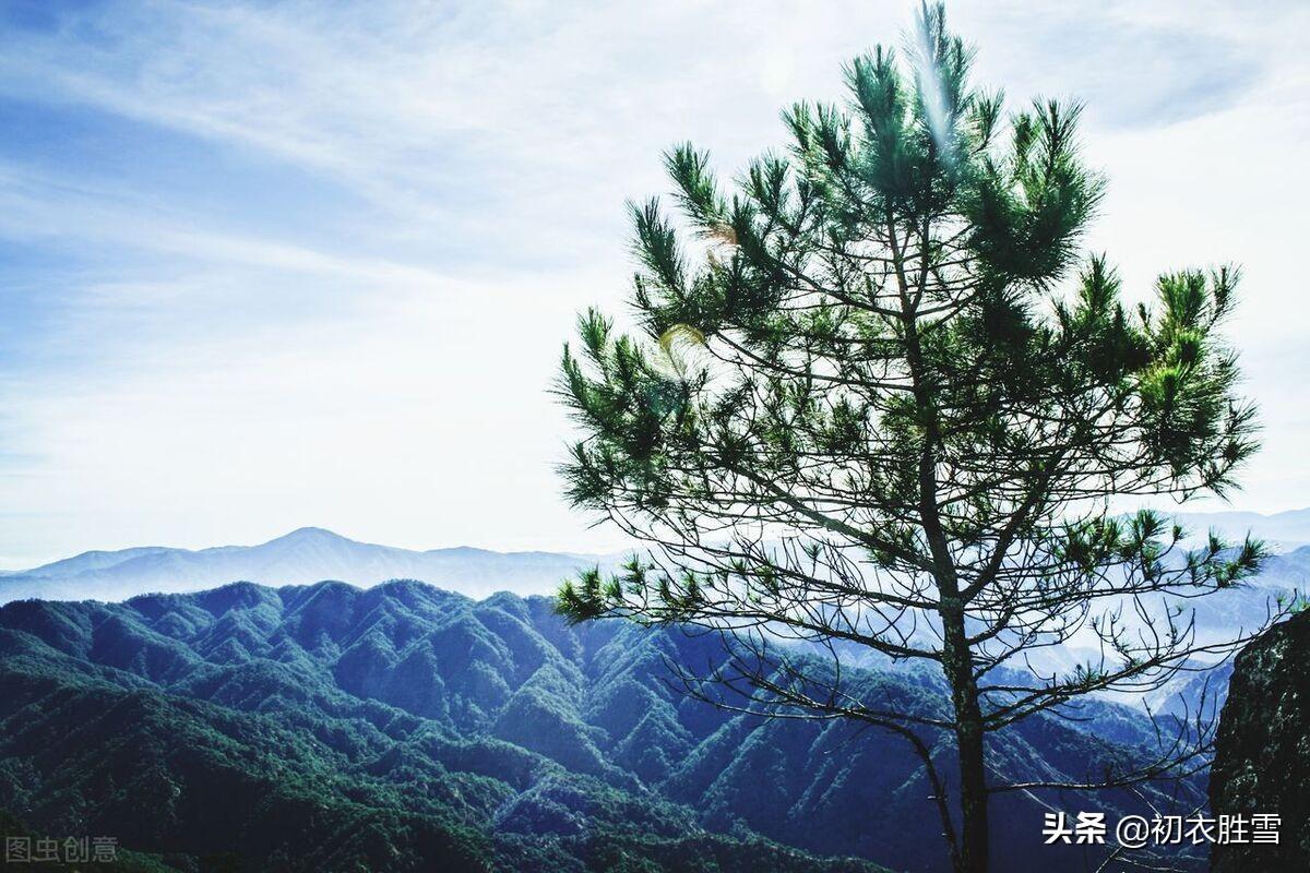 雪晴五首优美古诗（气动千峰翠，光浮万瓦鳞）