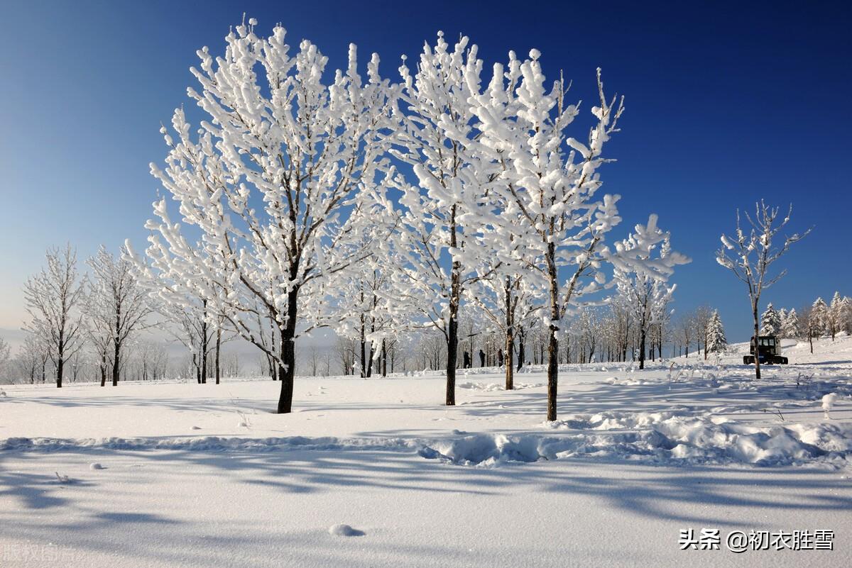 雪晴五首优美古诗（气动千峰翠，光浮万瓦鳞）