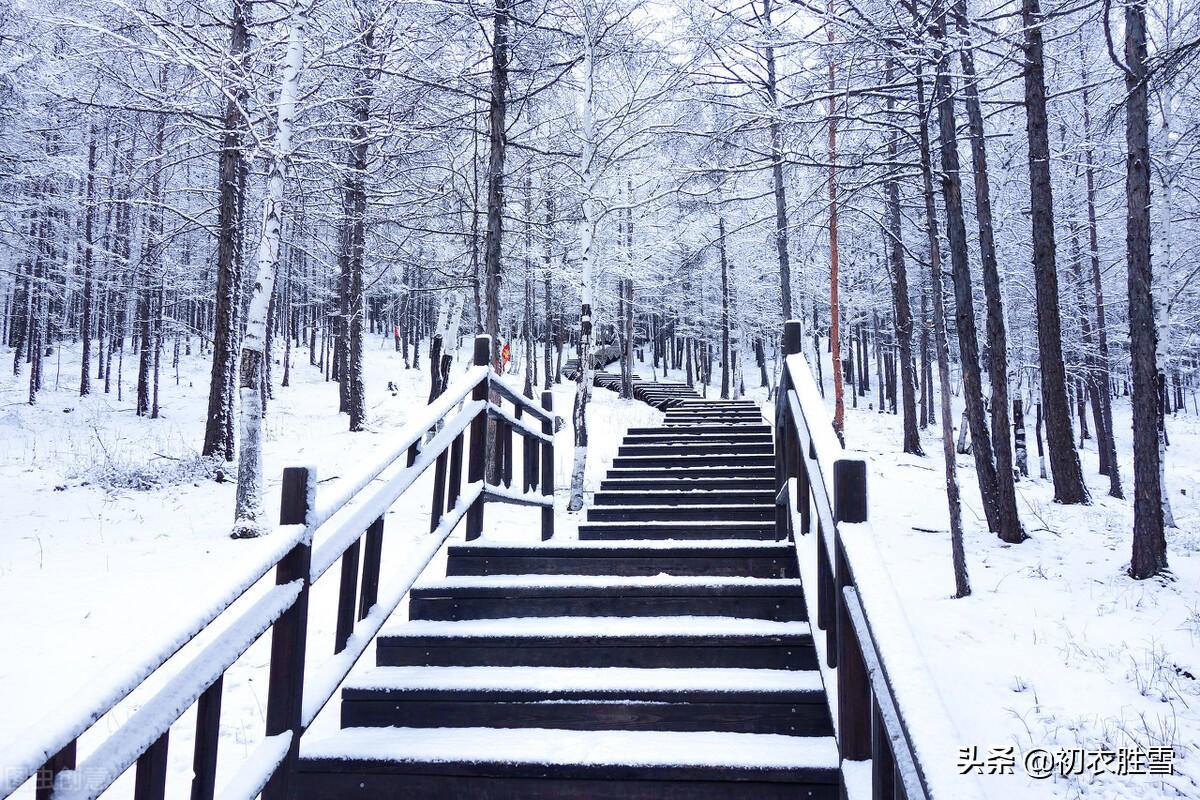 冬至亲情五首古诗赏析（他乡至下心，昨夜阶前雪）