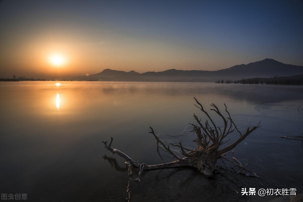 冬至梅花五首古诗（长至寒梅花正发，梅花先趁小寒开）