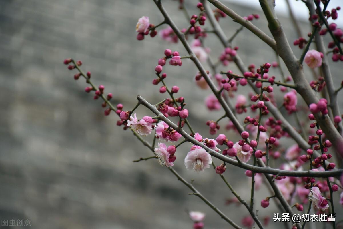 冬夜沈沈夜坐吟，盛衰空见本来心（冬夜优美诗词四首）