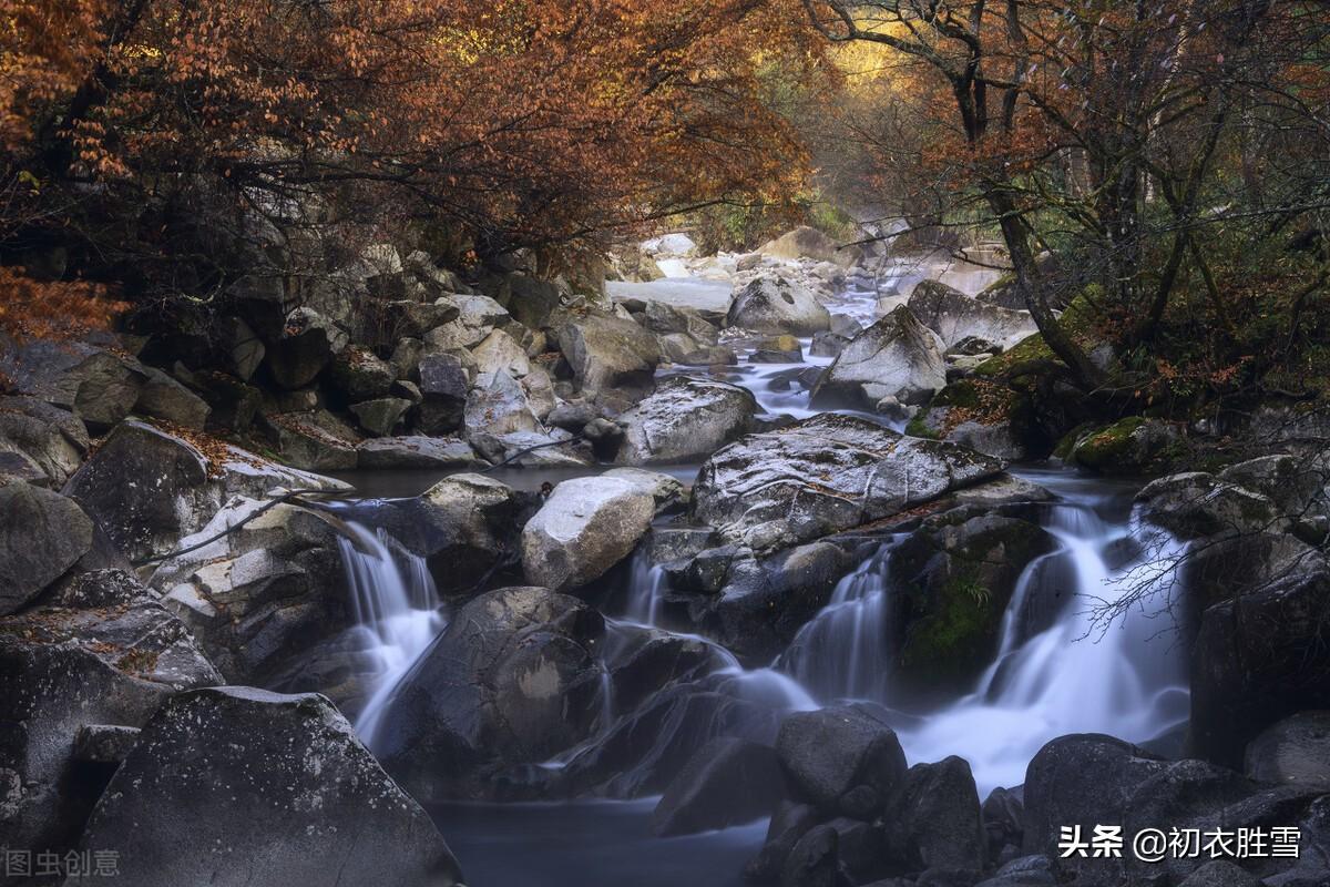 红树平沙十月天，白云红树画图间（​早冬红树古诗六首）