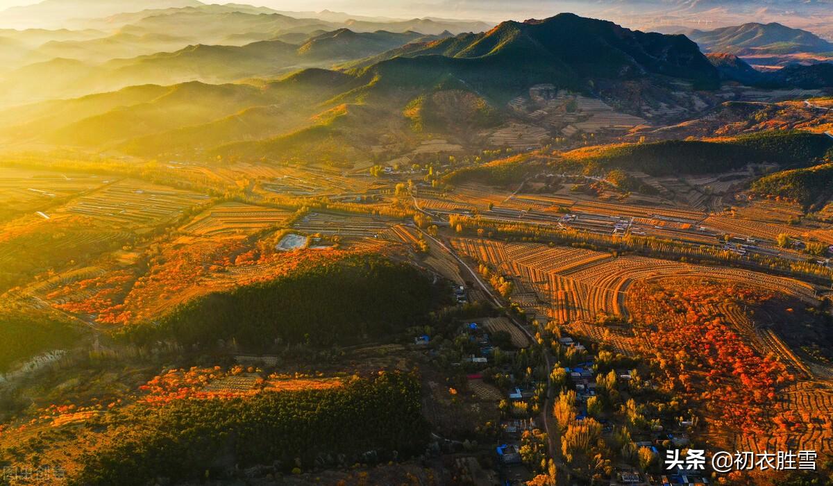 红树平沙十月天，白云红树画图间（​早冬红树古诗六首）