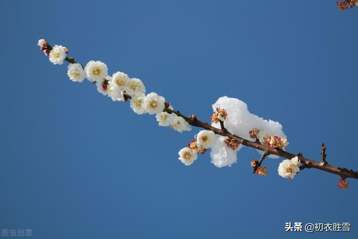 枫落吴江小雪天，一片飞来一片寒（小雪古诗七首）