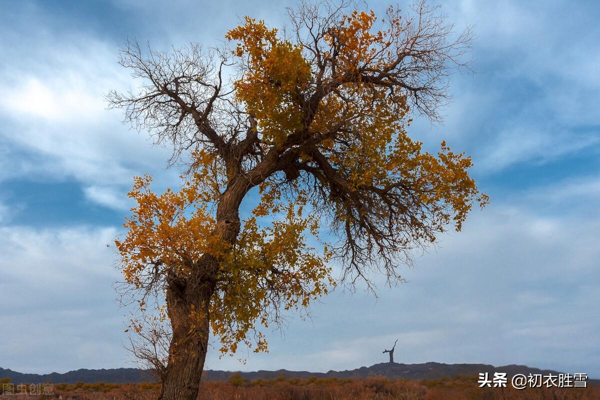 长感故人心，故心犹可忆（孟冬寒气古诗四首）