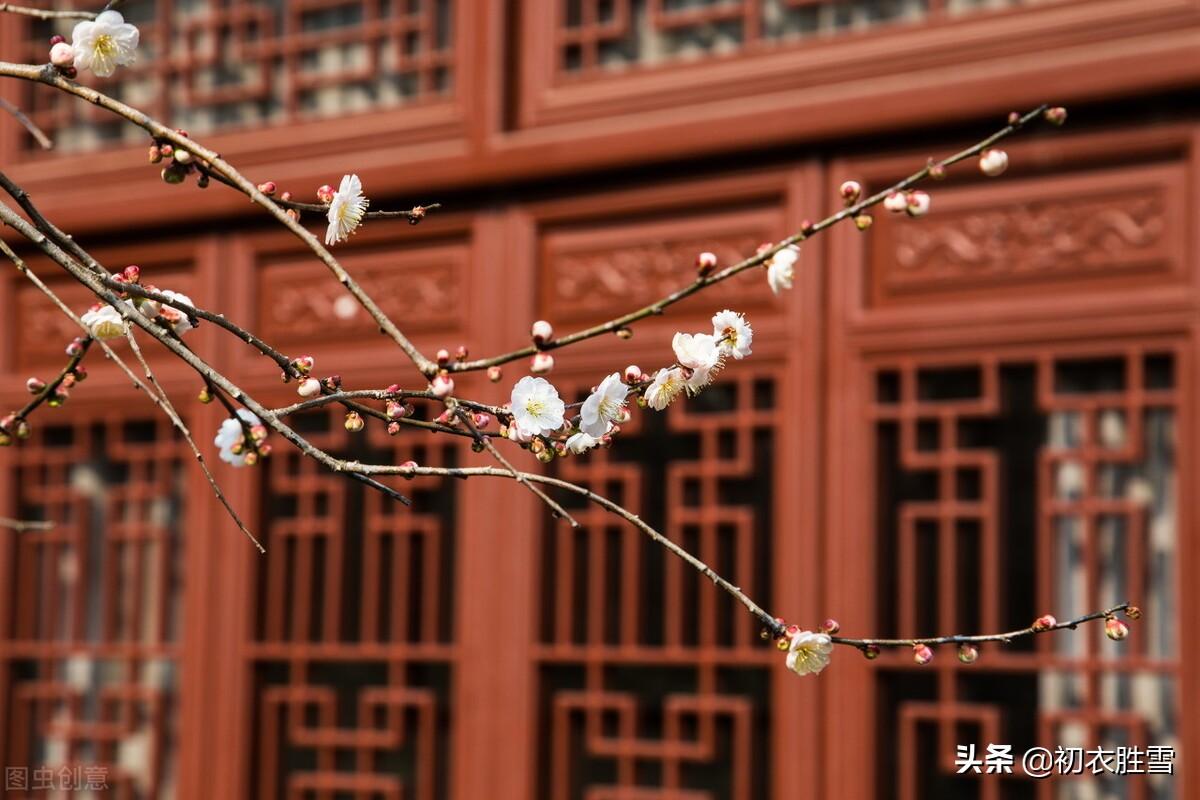 早冬梅花七首古诗（冷艳一枝何处见，何处梅花一绽香）