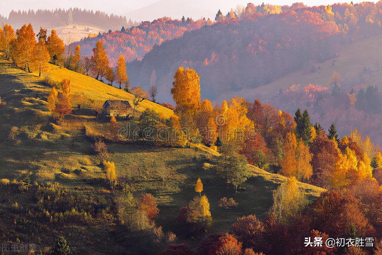 霜降天宇晶，极目万山横（霜降四首诗词）