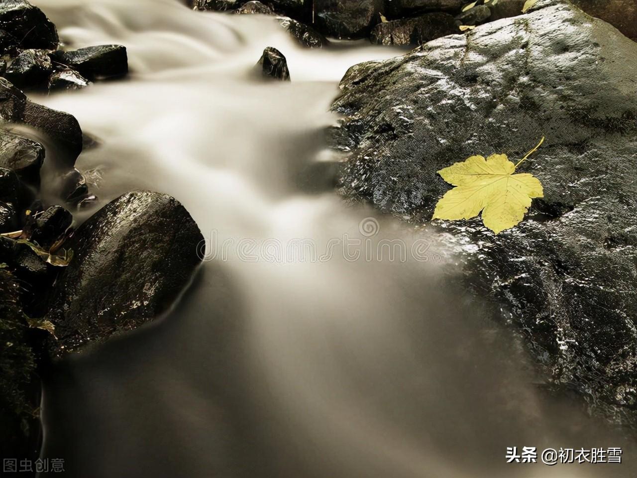 洛阳城里见秋风，夜来秋气满人间（初秋秋思六首古诗）