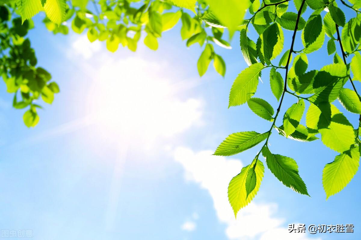 五月五日天中节，旋刻菖蒲好避邪（端午节诗词六首）