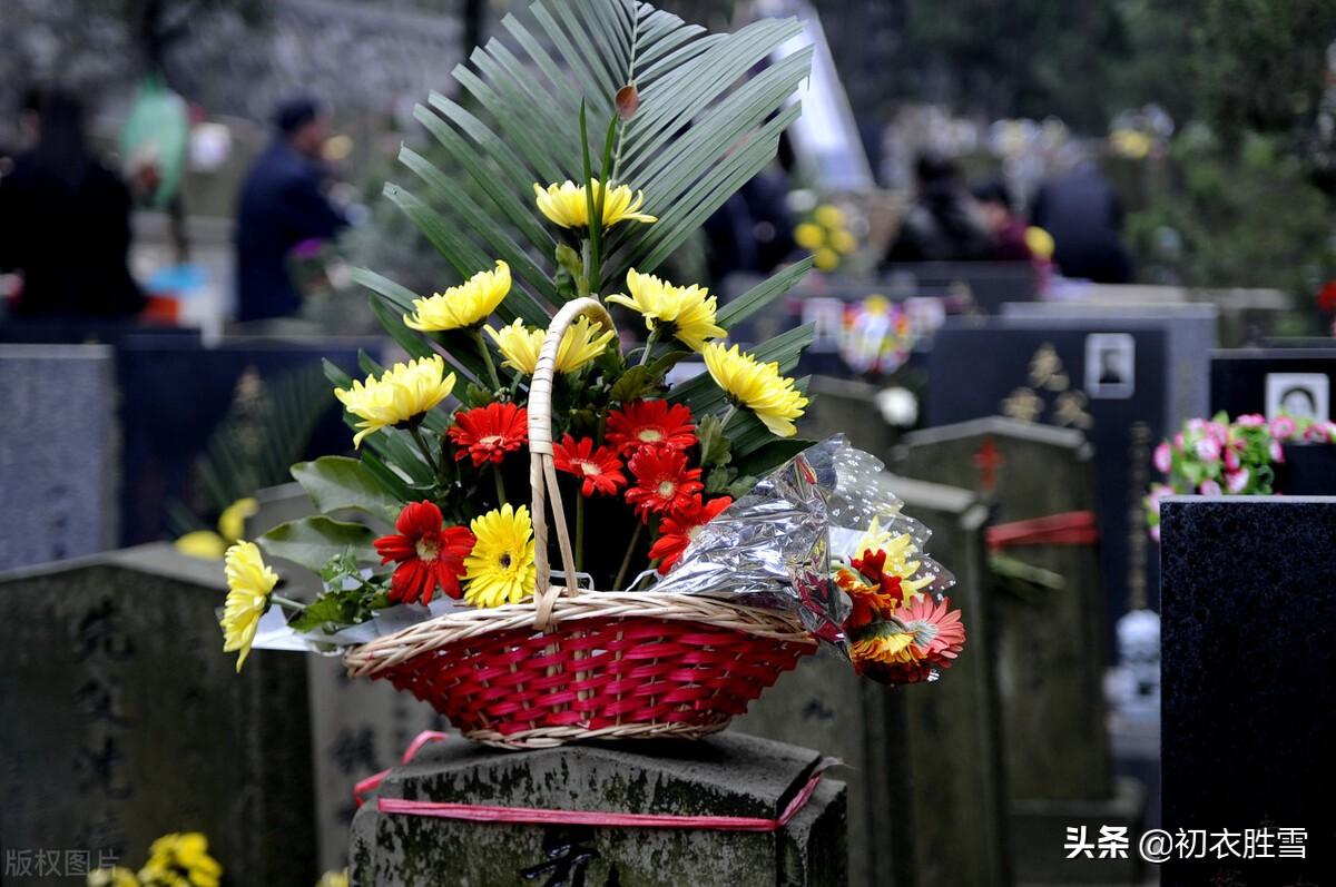 一笠戴春雨，昨夜梦还家（赏读清明六首宋诗）