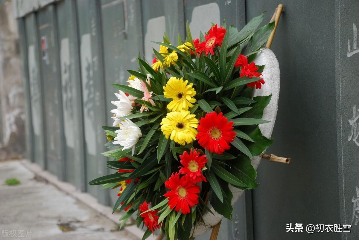 一笠戴春雨，昨夜梦还家（赏读清明六首宋诗）