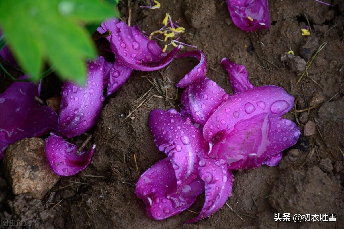 韩偓寒食五首诗词（四时最好是三月，一去不回唯少年）