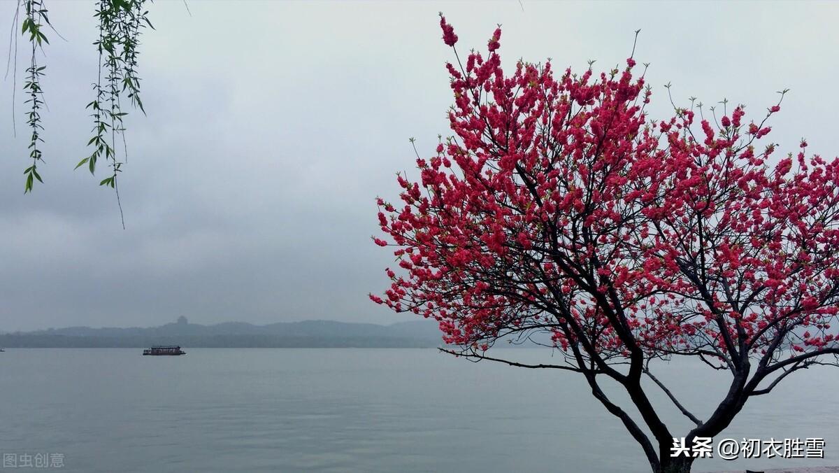 二十四节气惊蛰五首古诗（惊蛰二月节，杏花胭脂雨）