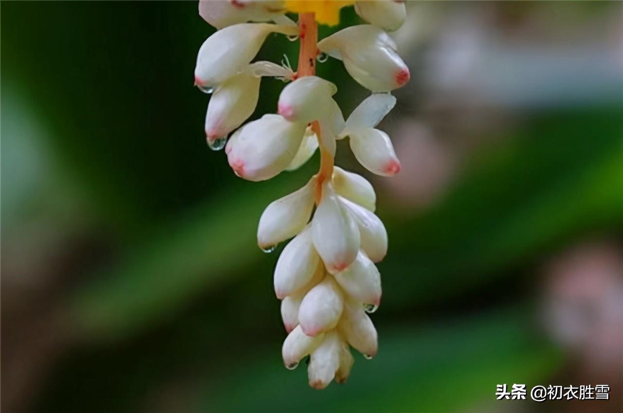 三月春风二月花，豆蔻梢头二月初（六首二月花古诗词）