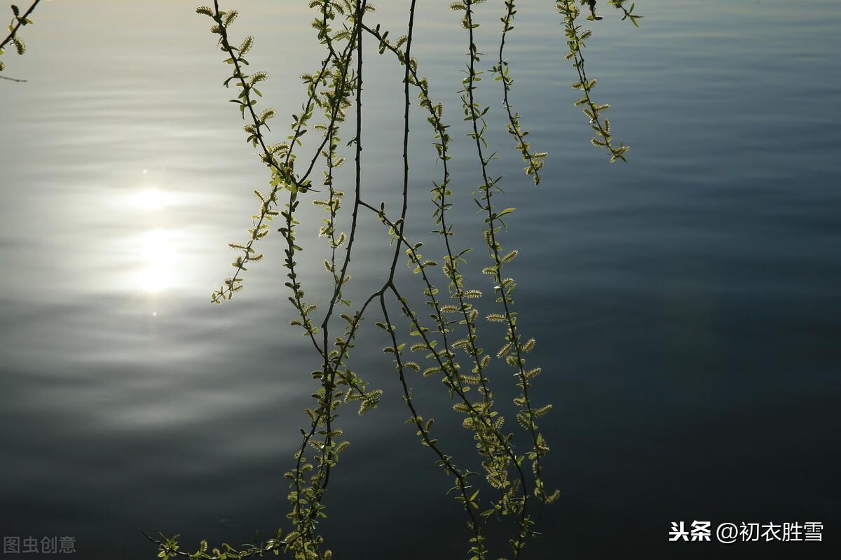 立春三首诗词古句（春水春信，春牛春人）