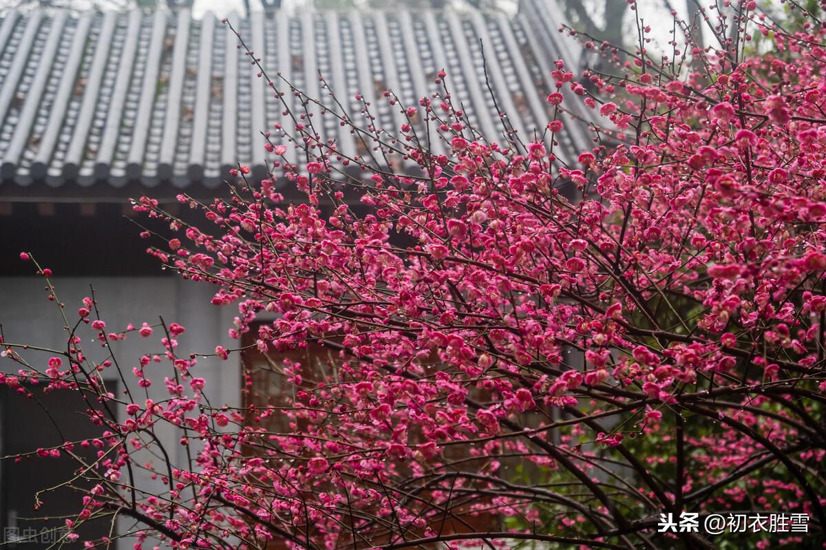 欧阳修正月二首优美古诗（花苞柳线春犹浅，东风吹水琉璃软）