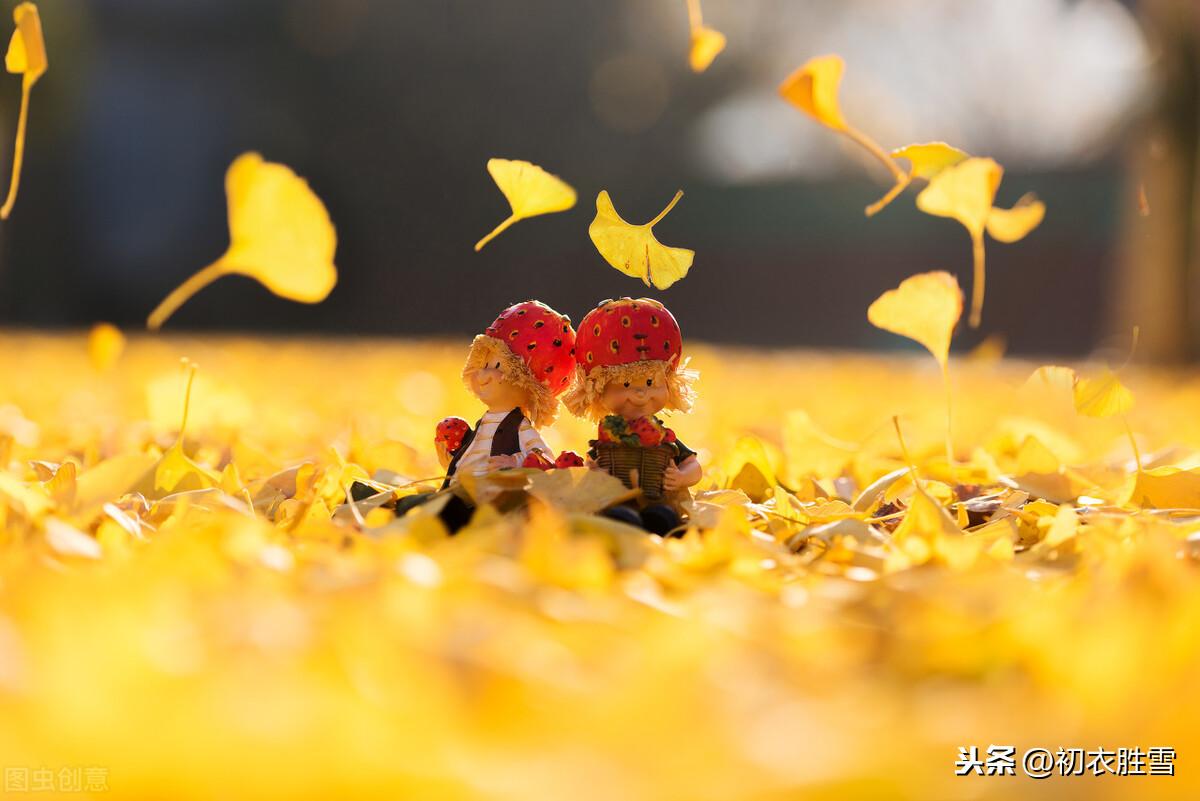 落叶惊风处处飞，绫梭夜夜织寒衣（关于寒衣六首诗词）