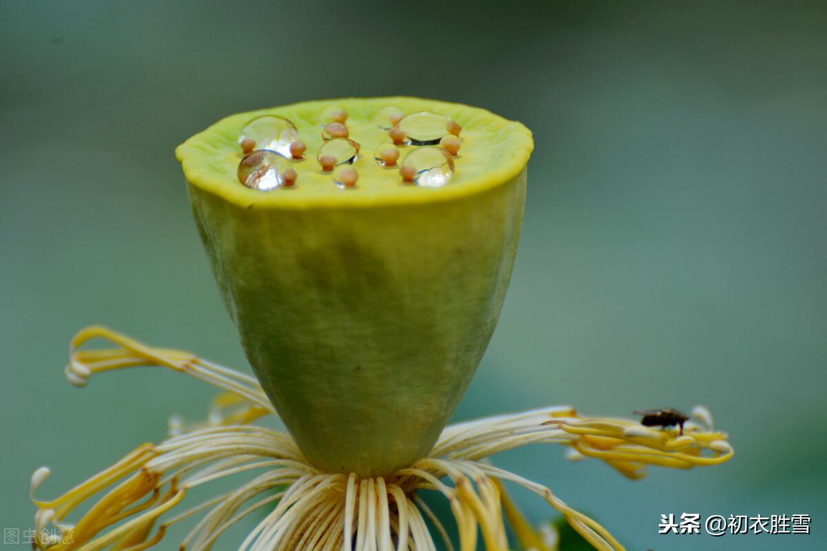 处暑节气7首优美古诗（一雨洗残暑，初秋生嫩凉）