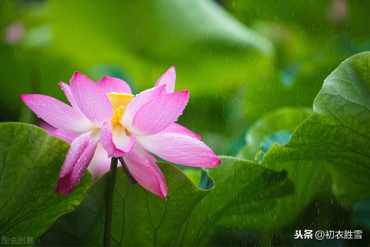 处暑节气7首优美古诗（一雨洗残暑，初秋生嫩凉）