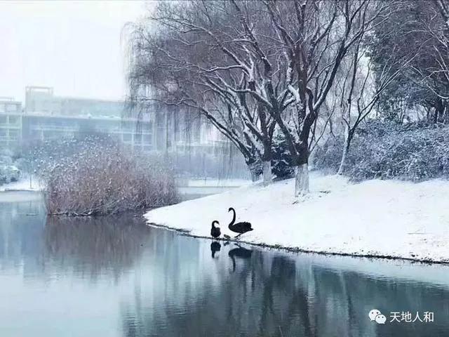 小寒诗词名句有哪些（小寒节气诗词18首）