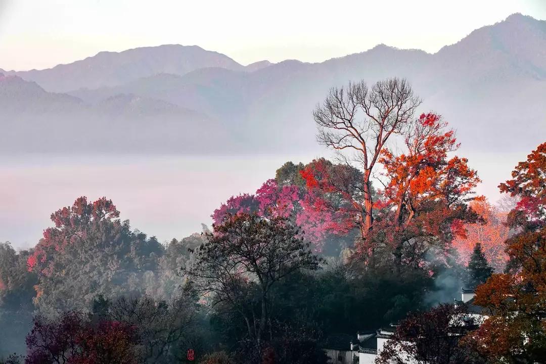 秋光无限，吟咏抒怀（咏秋经典诗词24首）