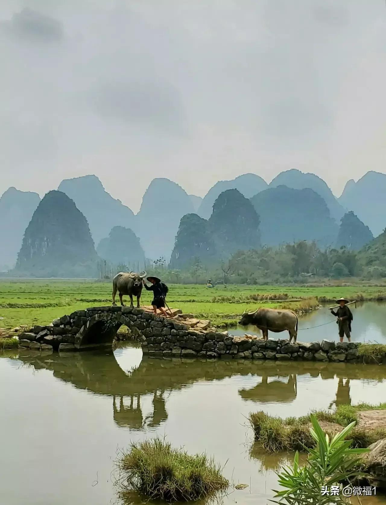 小满经典古诗有哪些（ 小满节气诗词 20 首）