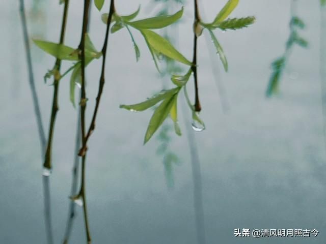 听雨诗词名句有哪些（六首听雨的诗词）