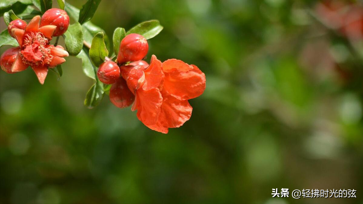 韩愈经典唐诗六首鉴赏（云横秦岭，雪拥蓝关）