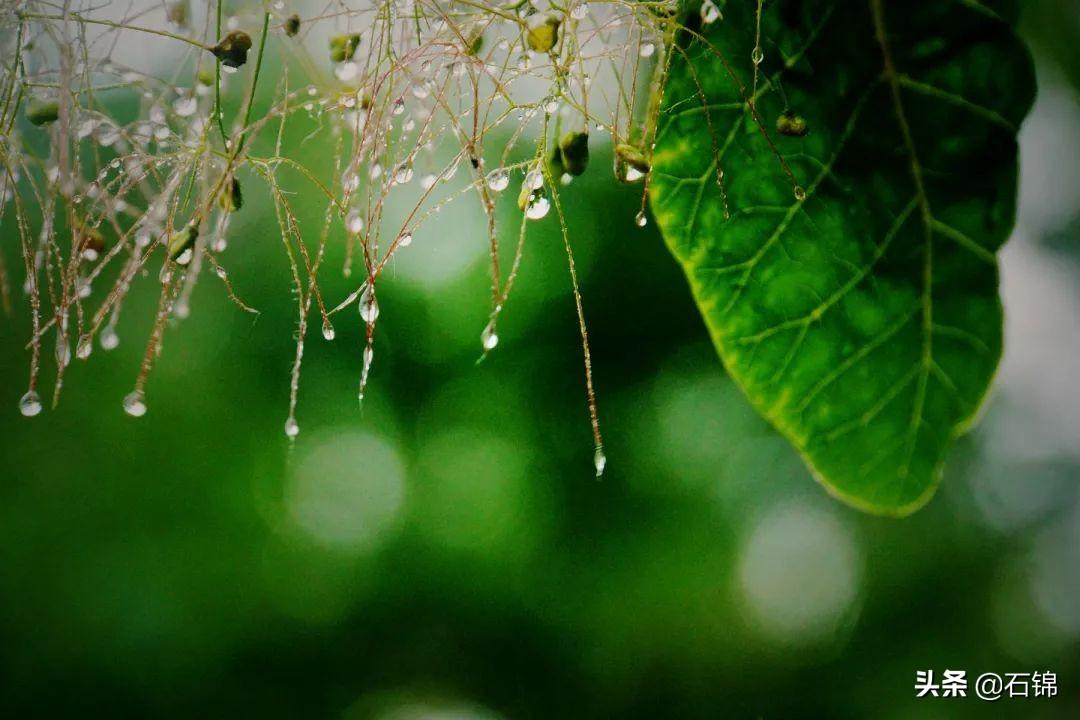 赞美初夏经典的古诗（七首初夏诗词唯美）