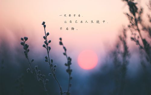 适合迎接八月的句子（感受八月的热情，享受夏日的美好）