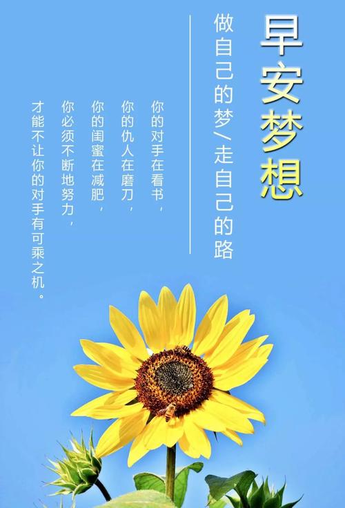 十二月份早安语录（享受生命中的点滴美好）