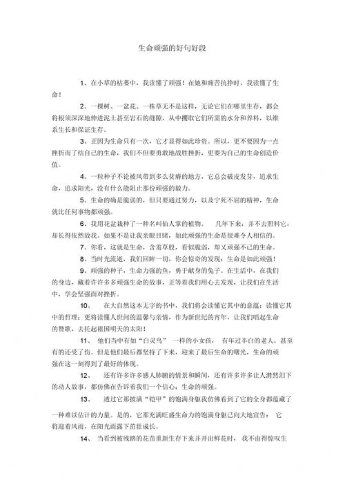 有关以母亲为主题的好句好段的短句子（母亲——爱与力量）