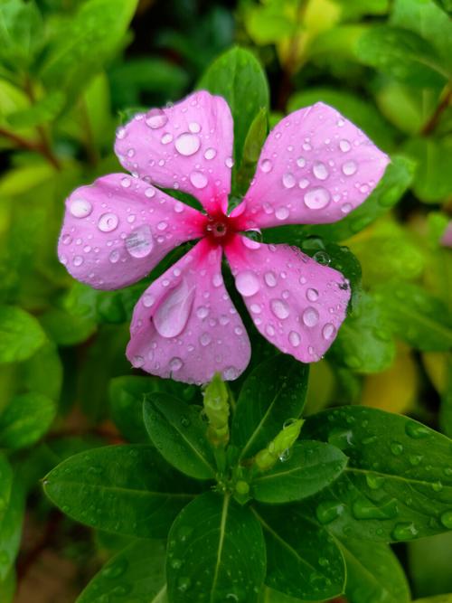 一场秋雨一场凉的文案（秋雨落在窗前）