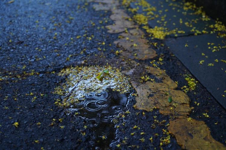 一一场秋雨一场凉的句子（《凉意袭人，缘起一场秋雨》）