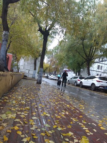 一场秋雨一场寒早晨问候语（一场秋雨，一场寒冷）