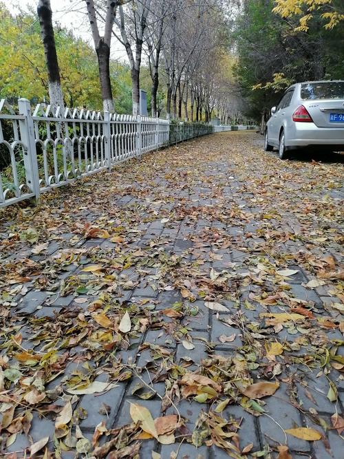 一场秋雨一场寒的幽默句子（秋雨萧瑟，但心依旧温暖）