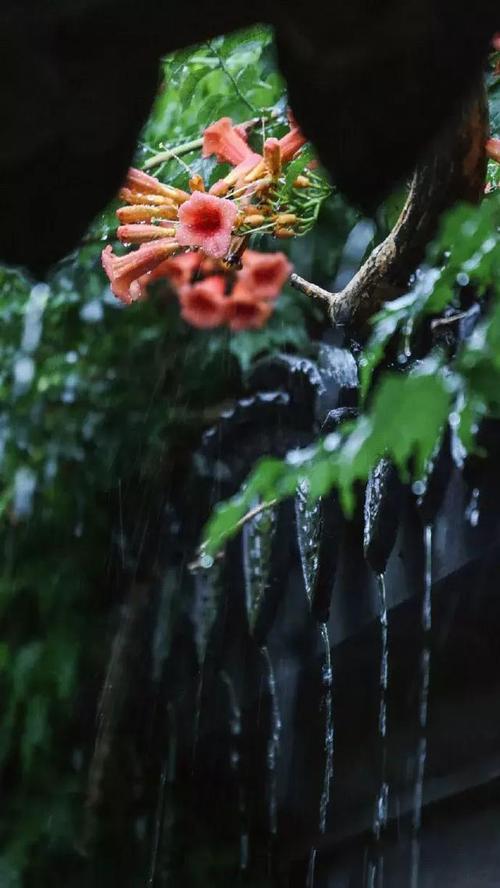 关于一场秋雨一场寒的说说（《秋雨一场寒》——写生活点滴）