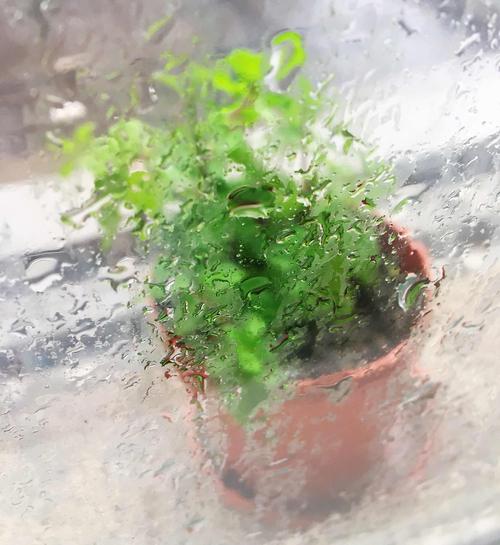 关于一场秋雨一场寒的说说（《秋雨一场寒》——写生活点滴）