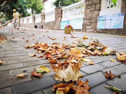 一场秋雨一场寒的唯美说说（《秋雨寒》——凉意扑面）