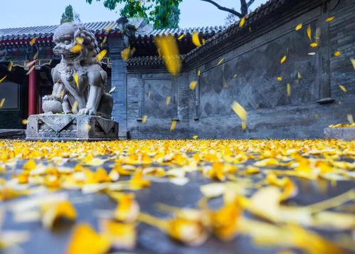 一场秋雨一场寒的语录（一场秋雨一场寒的说说汇总）