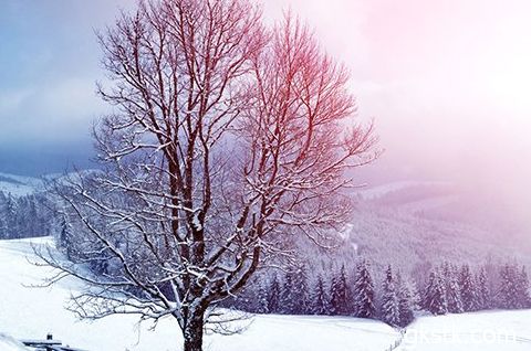 夜晚下雪的句子伤感（夜晚下雪）