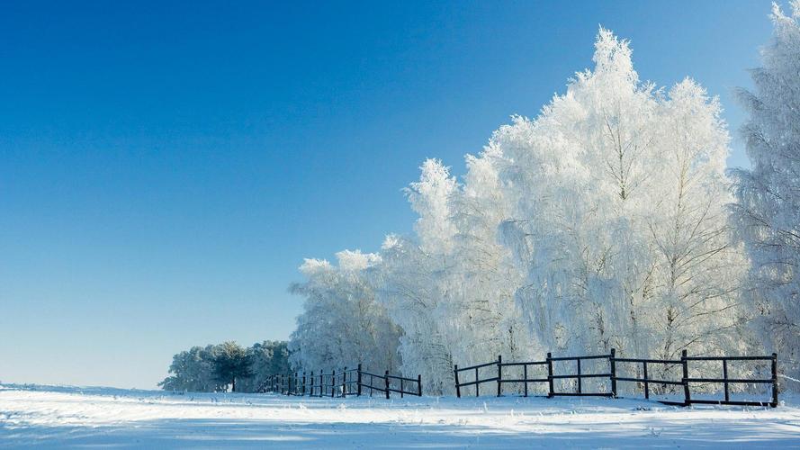 有关雪的句子唯美经典的短句（雪中静谧，心中浪漫）