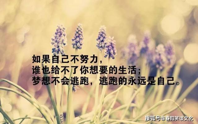 有关选择了就要坚持的句子的句子有哪些（坚守内心信仰）