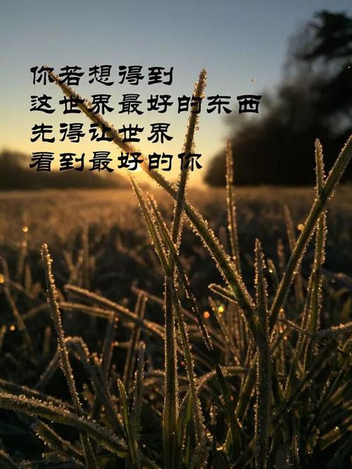 关于幸福的语句大全（拥抱每一个美好时刻）