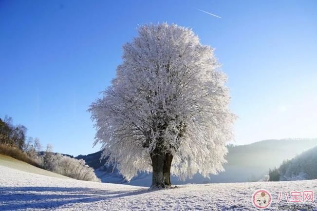 关于立春节气的说说和诗句（春回大地，踏歌而来）