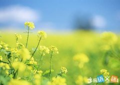 形容九月的语句（收获季节，唯美九月）