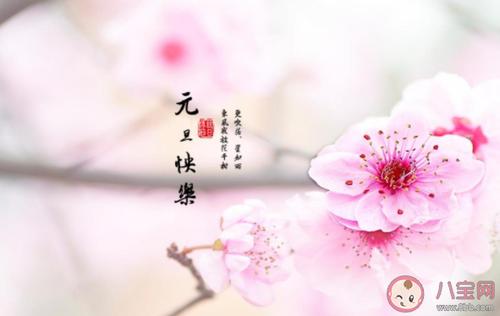 春节祝福语新年祝福语（岁月静好，欢歌笑语——2024新年春节祝福语）